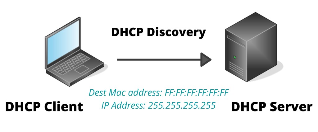 dhcp discovery